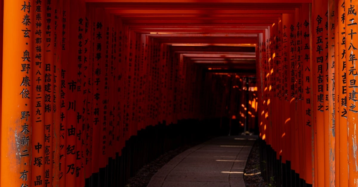 Gates of Olympus агрессивная битва за господство в мире богов